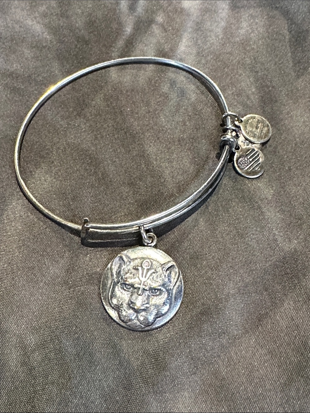 Alex and Ani Wild Heart Cat pendant charm on bracelet
